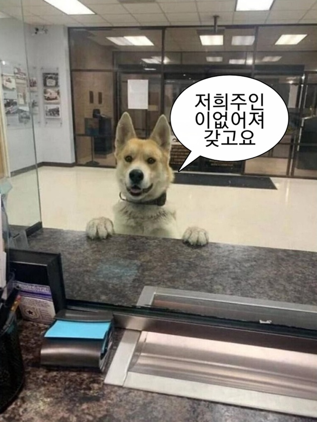 오늘은육회내일은연어 이미지