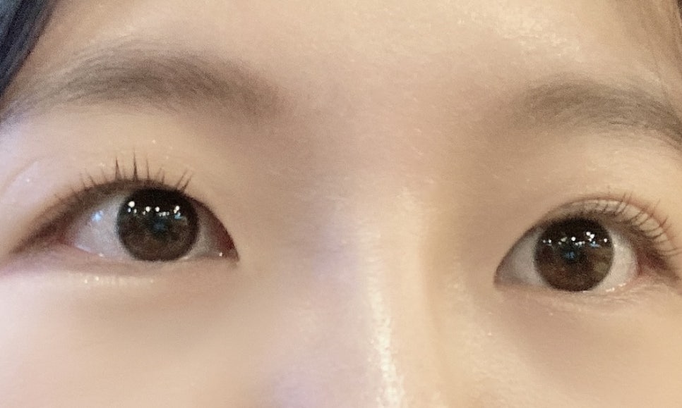 엘로이뷰티 이미지