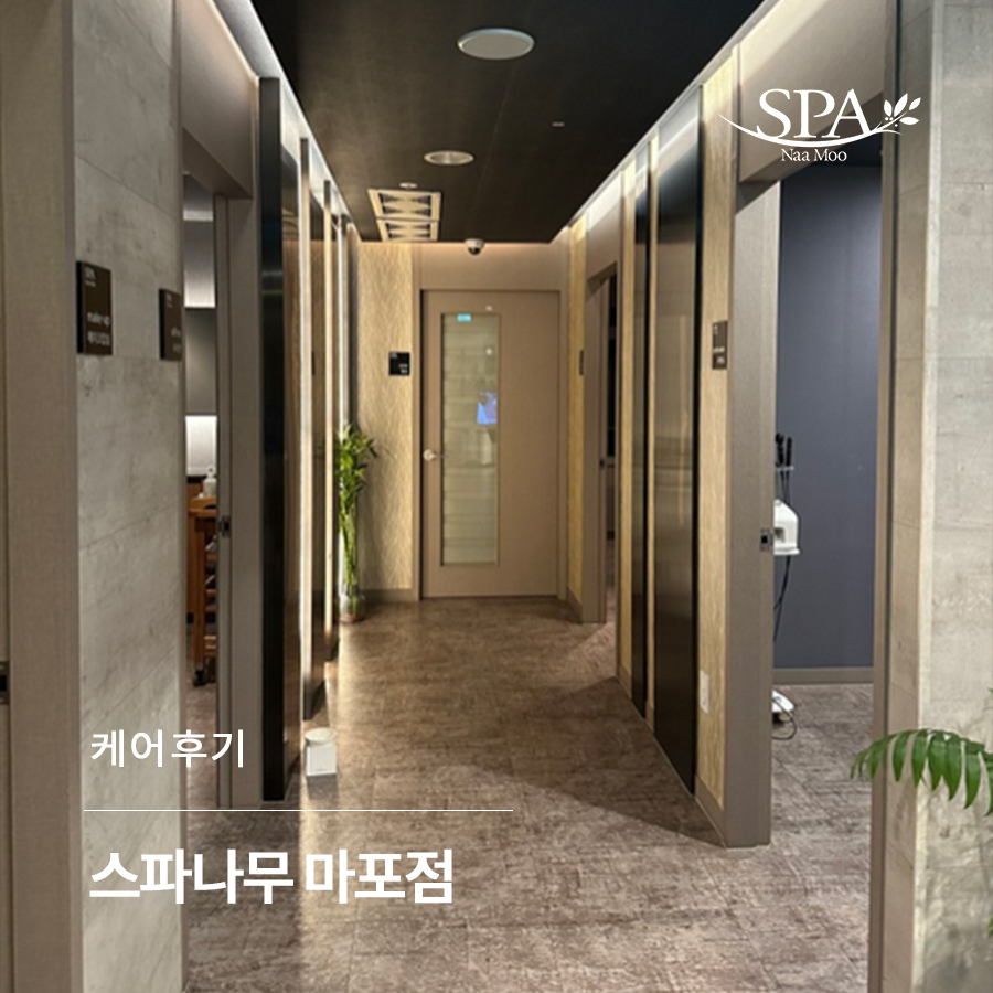 스파나무마포 이미지