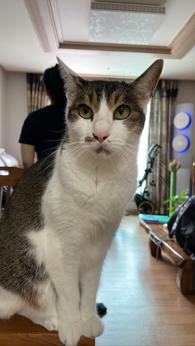 민백막국수 이미지