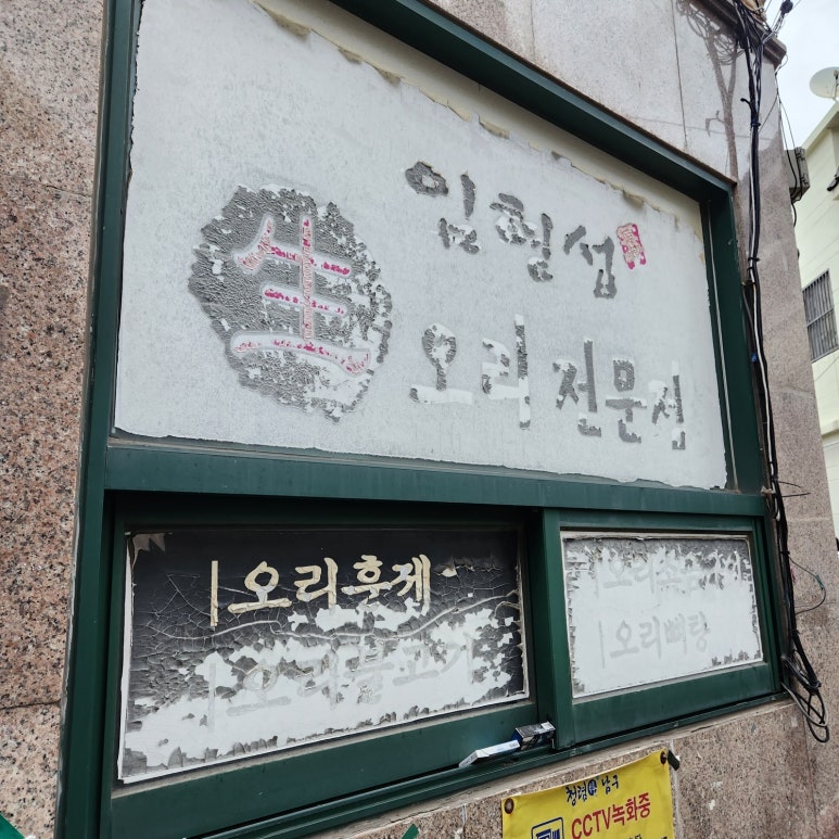 임형섭생오리 이미지