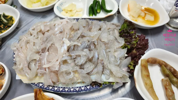 금빛선어 이미지