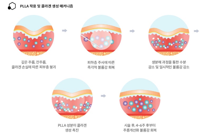 가나필아 이미지
