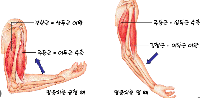 피트인피트니스 이미지