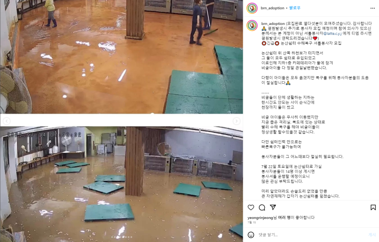양재세탁 이미지