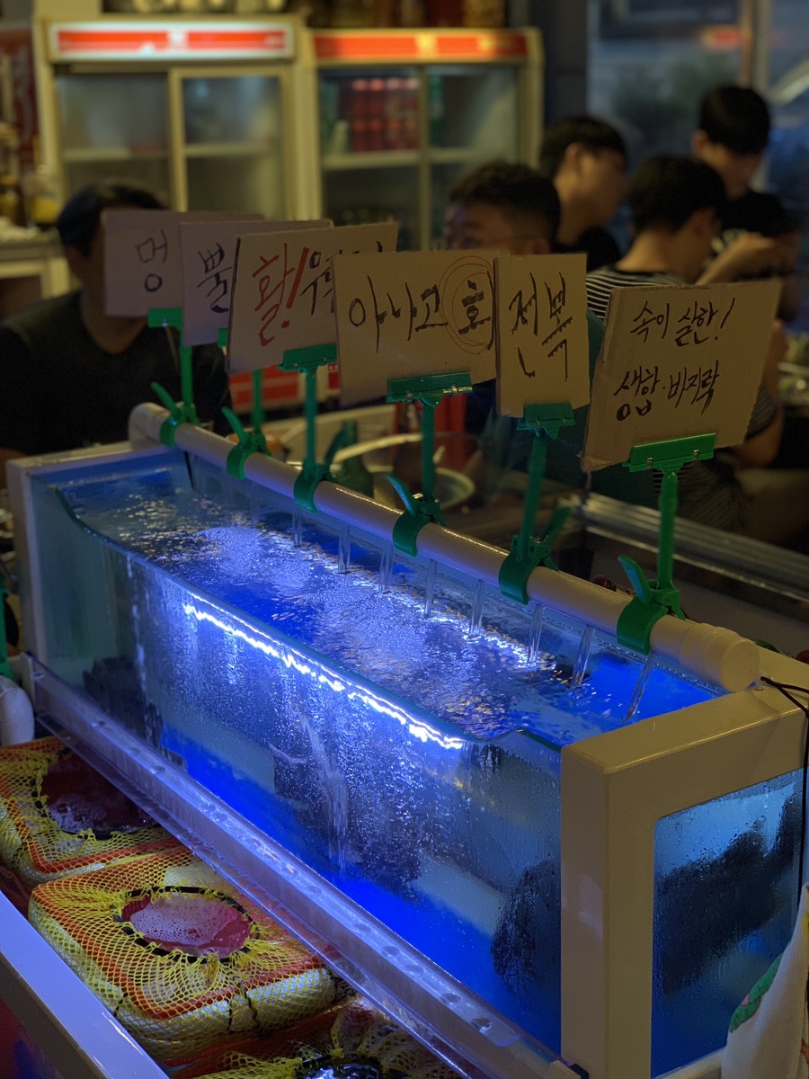 짱구포차 이미지
