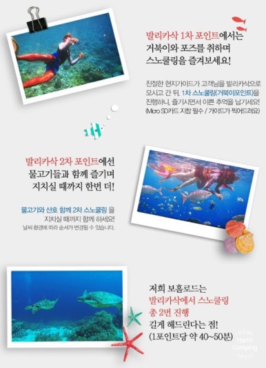 보홀로드 이미지