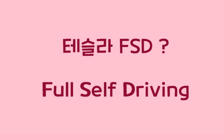 에프에스디 이미지