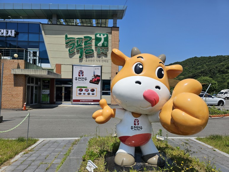 홍천한우프라자 이미지