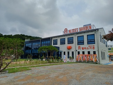 앨리스 베이커리 카페 이미지