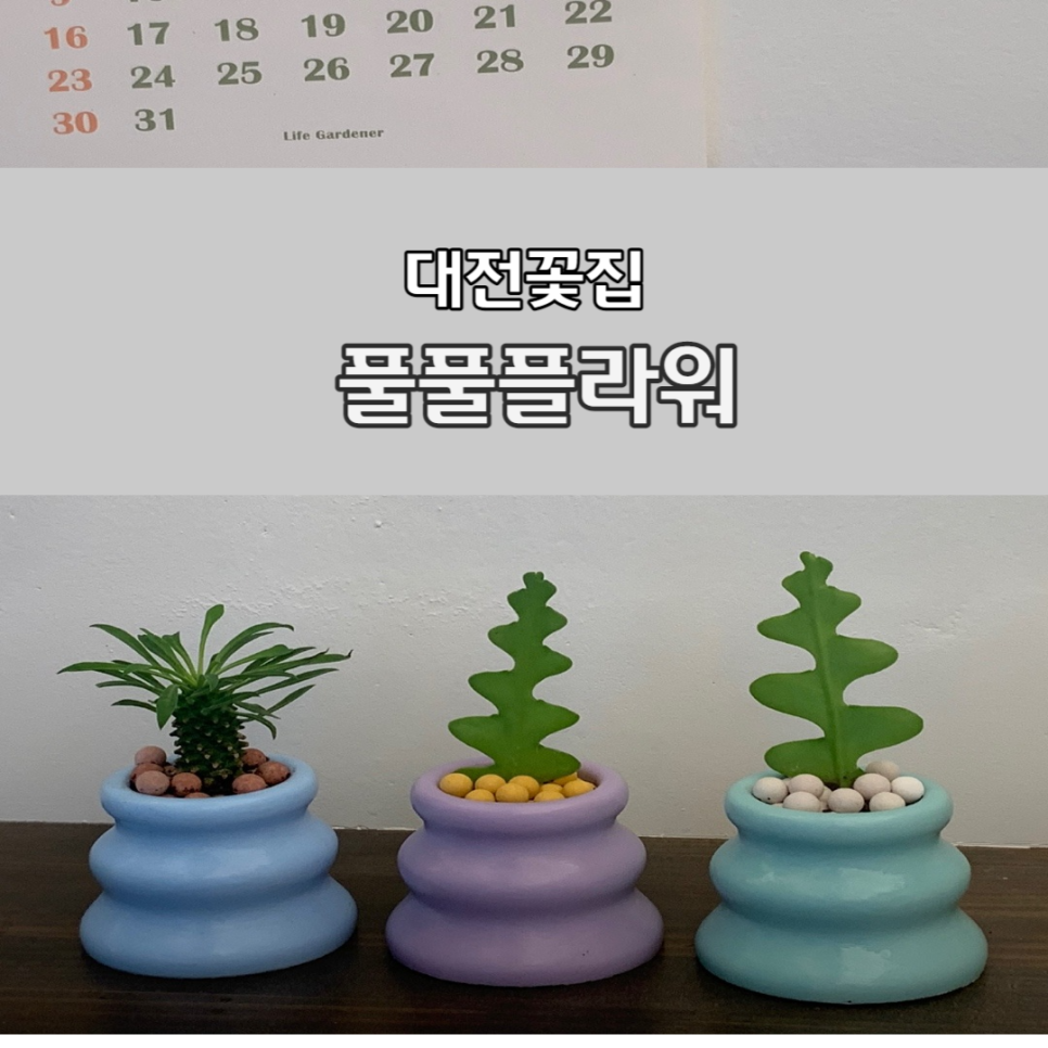 풀풀플라워 이미지