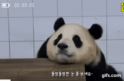 에버닌 이미지