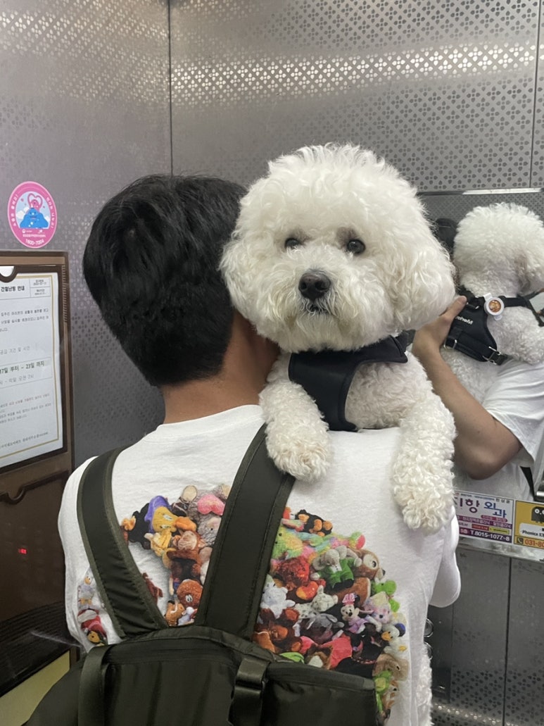 호병골산아래 이미지