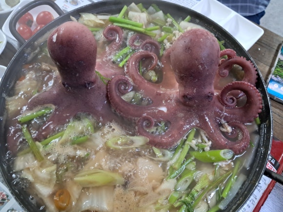 오문어 이미지