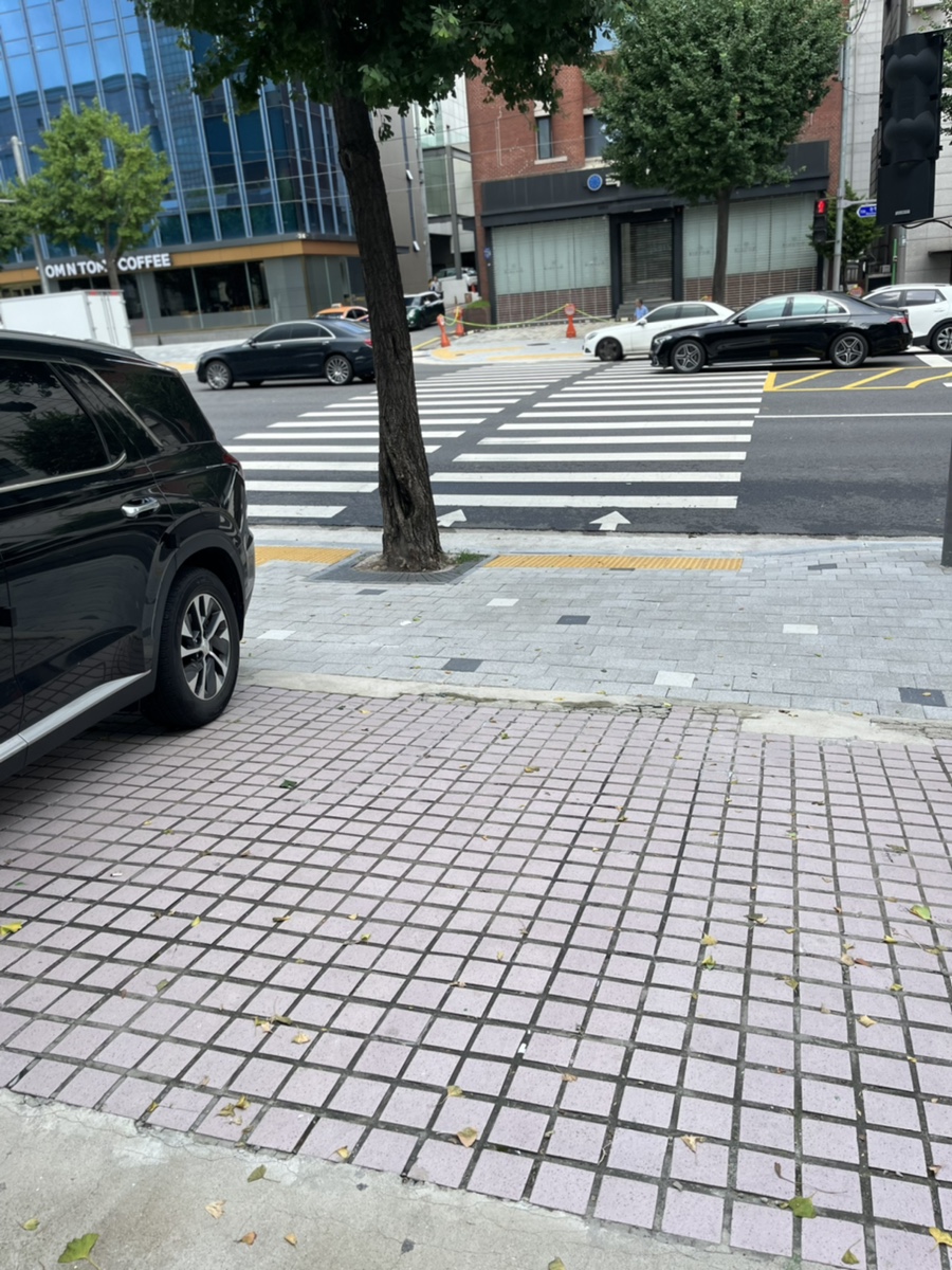 심지전문서적 이미지