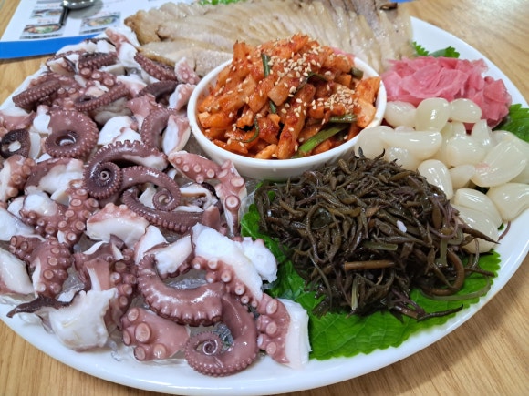 문어시대 이미지