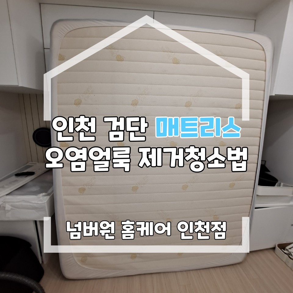 매트리스소파카페트청소청결홈케어 이미지