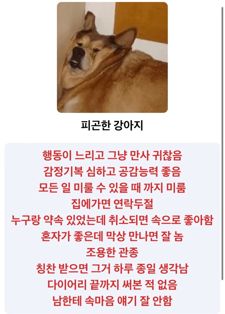 샐러드식당 이미지