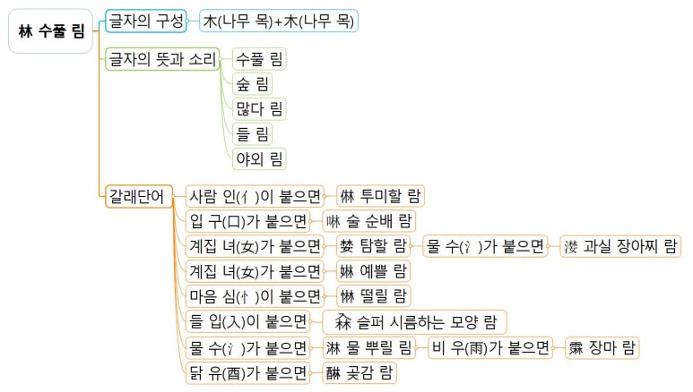 림마인드 이미지