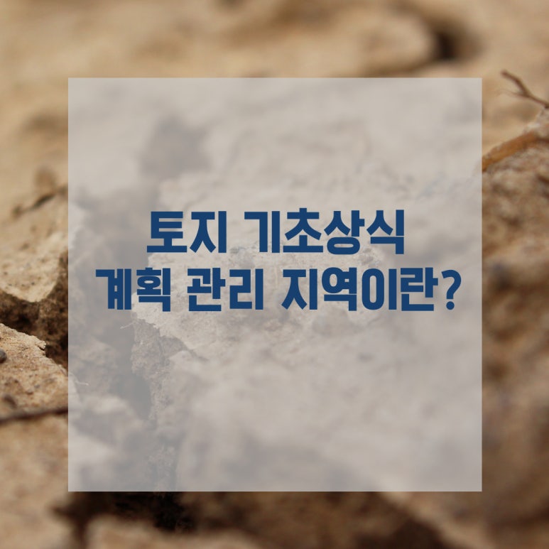 에이치앤엘 이미지