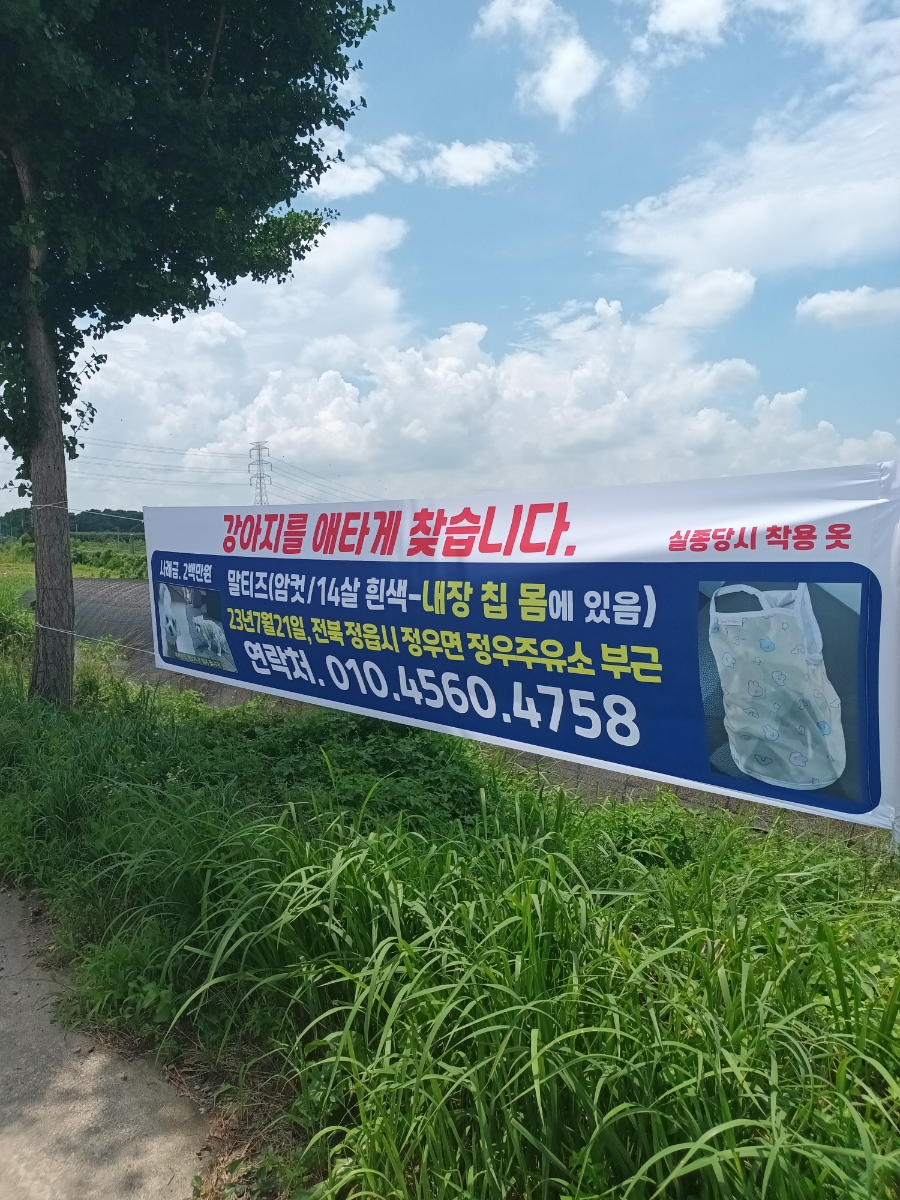 정우주유소 이미지