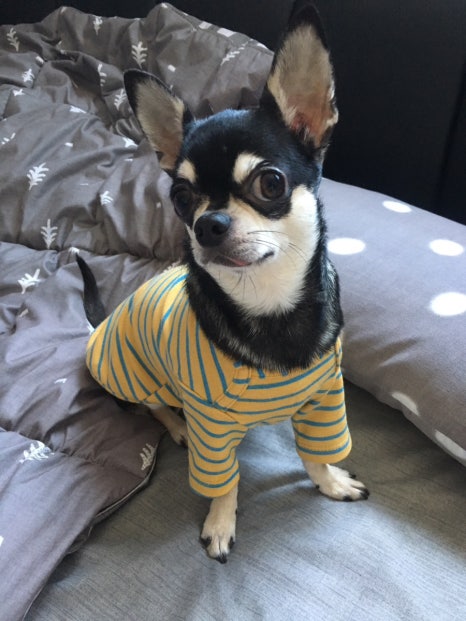 카페민스 이미지