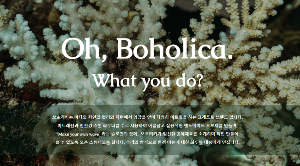 보호리카 이미지