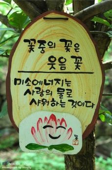 보명 이미지