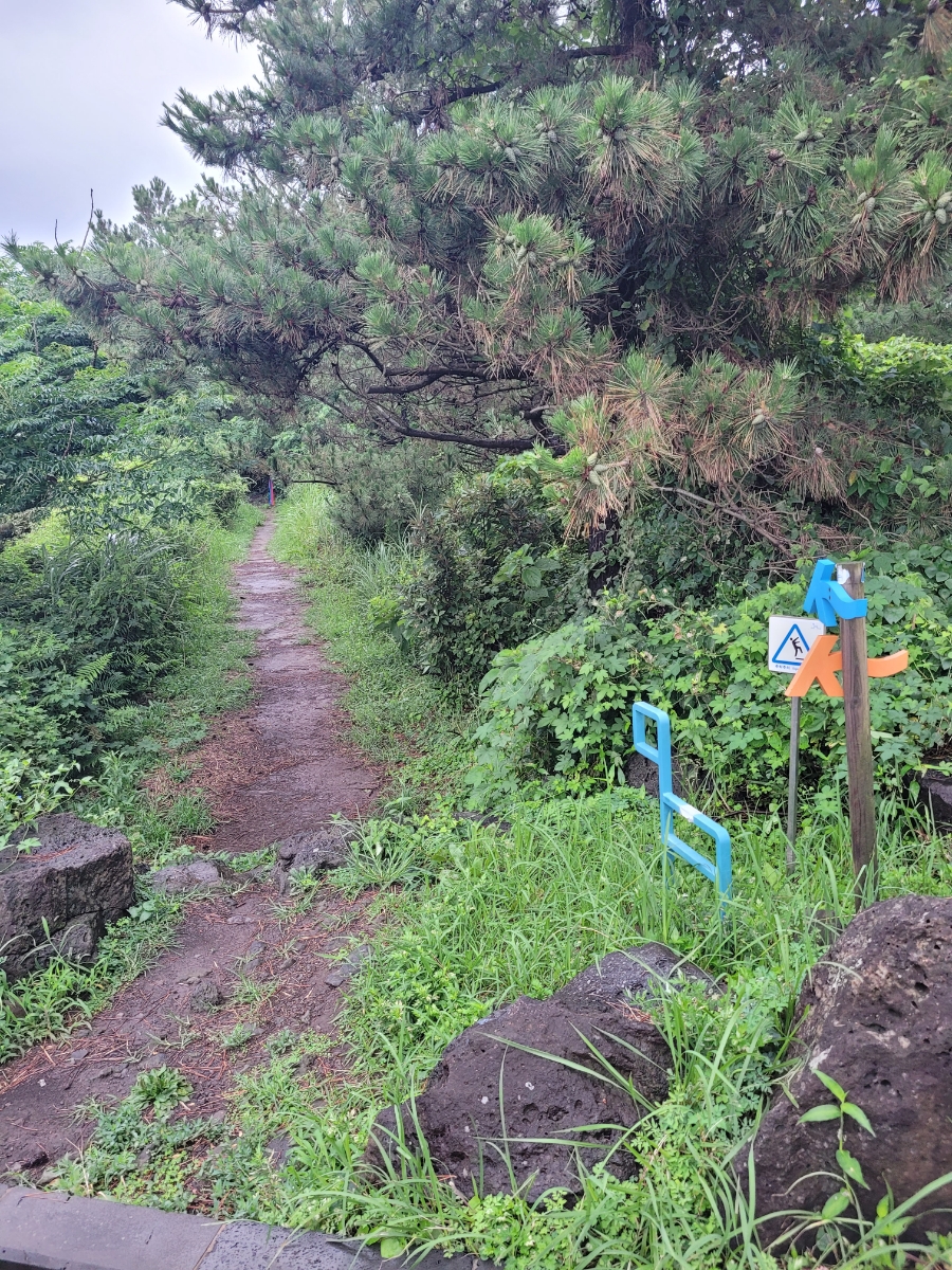 민건이네식당 이미지