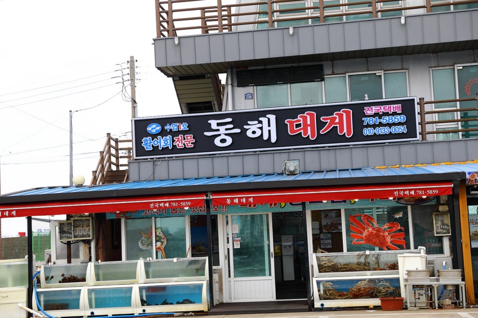 동해회대게수협1호 이미지