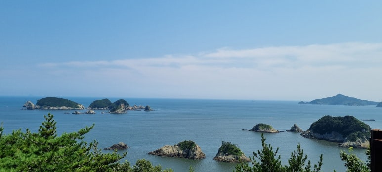 지세포굴구이.통갈치 이미지