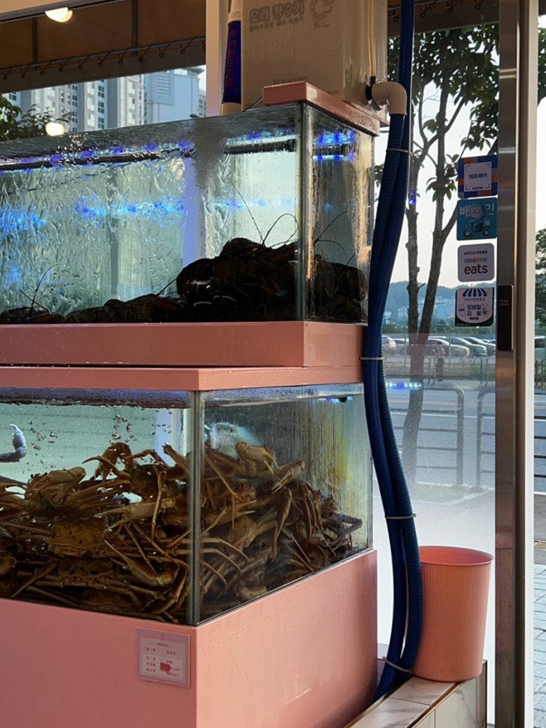 어서오시게 분당판교점 이미지