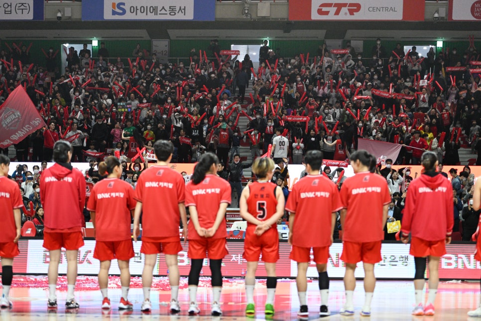썸타 이미지