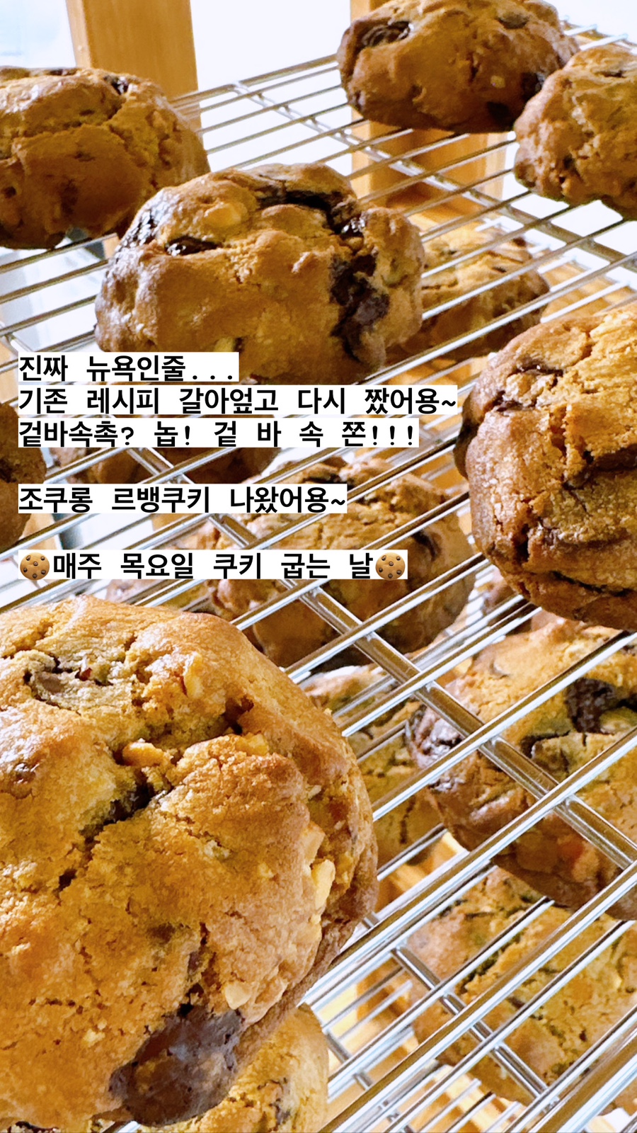 조쿠롱 이미지
