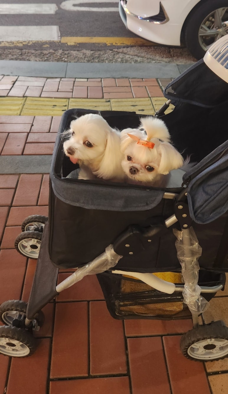 살맛나 이미지