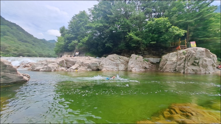 설화황태구이 이미지