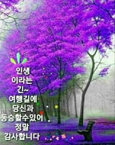 보명 이미지