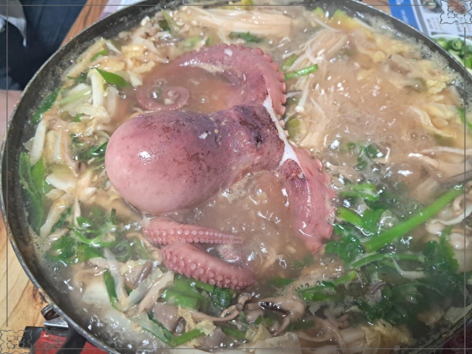 문어시대 이미지