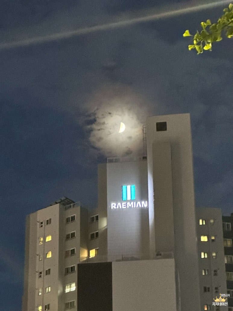 제주충세흑돼지 이미지