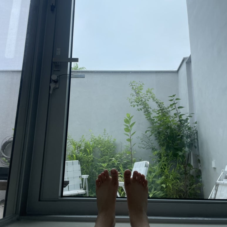 안유재 이미지