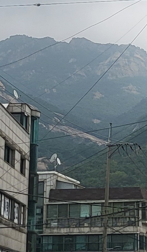 호랭이커피 이미지