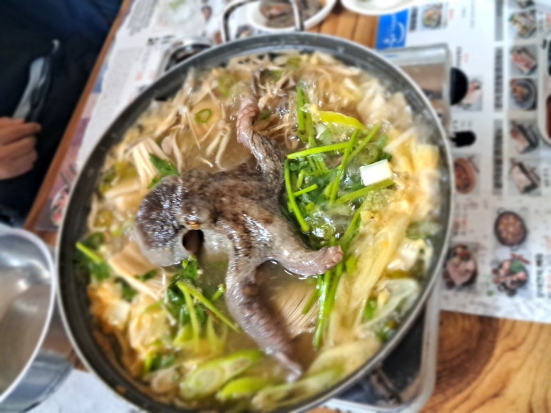 문어시대 이미지