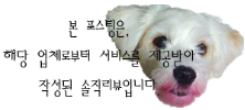 글로리청과 이미지
