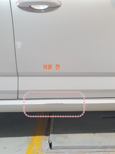 덴트칼라 이미지