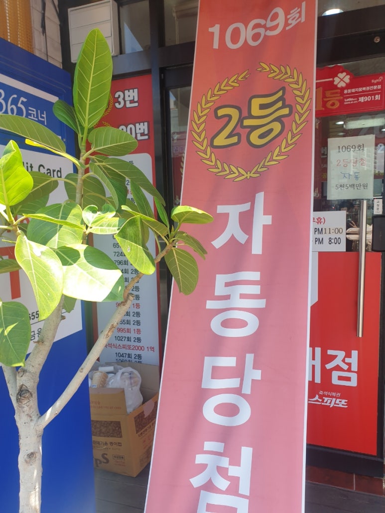 돼지복권명당 이미지