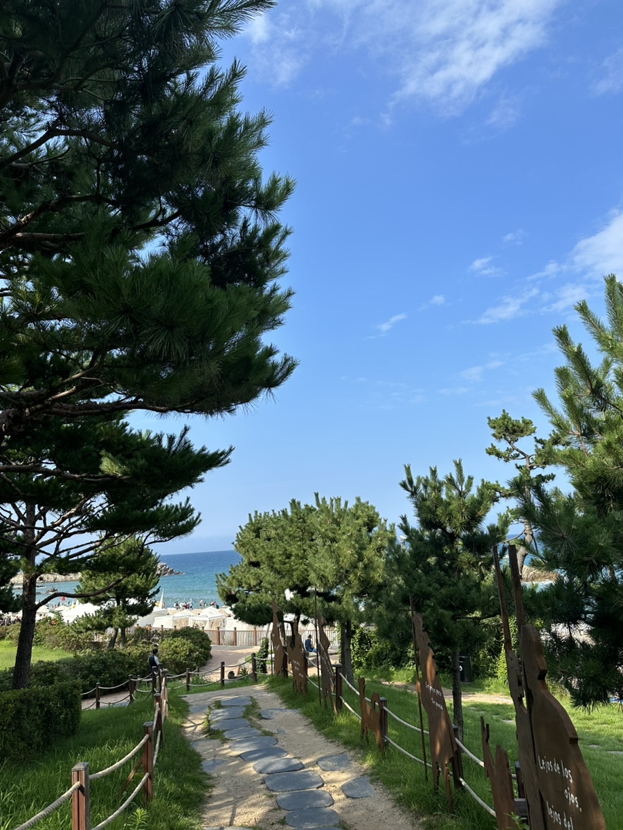 식껍양양 이미지