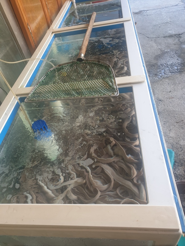 부산곰장어 이미지