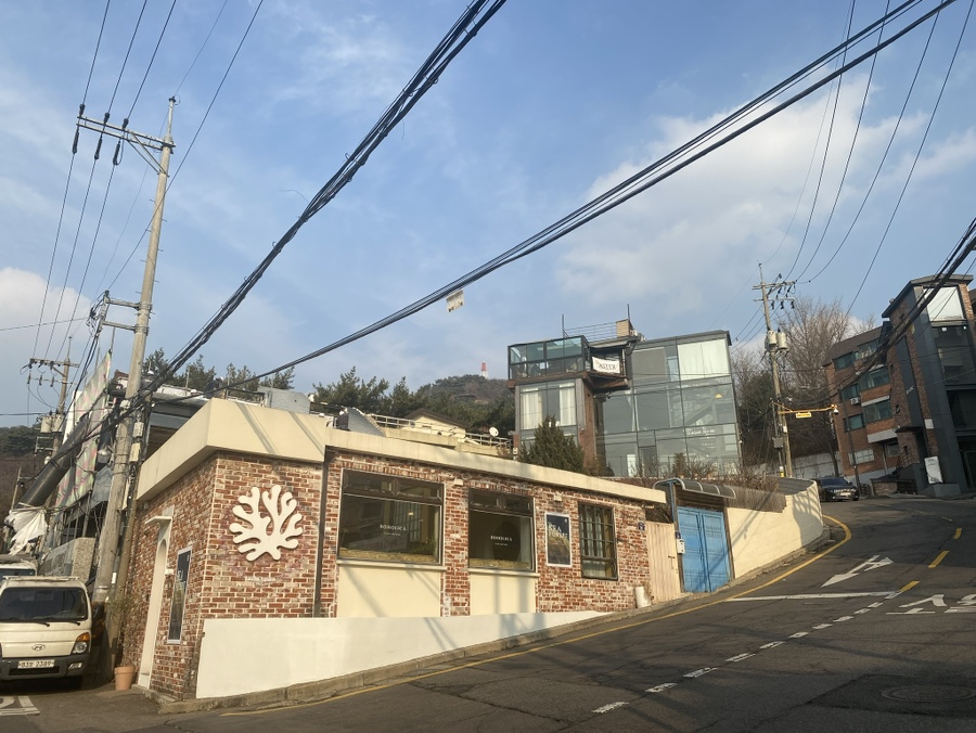 보호리카 이미지