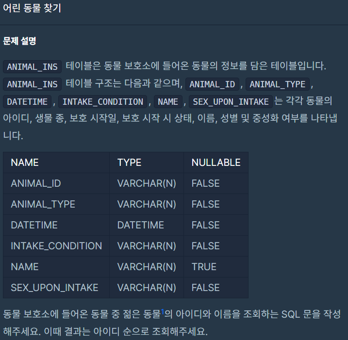 아이디레코드 이미지