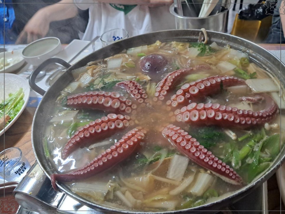 문어시대 이미지